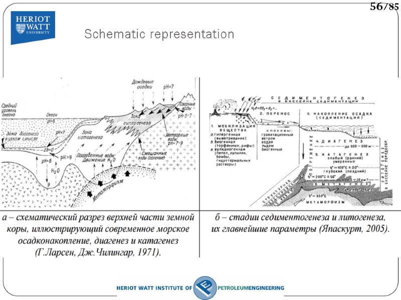 Schematic representation 56/85